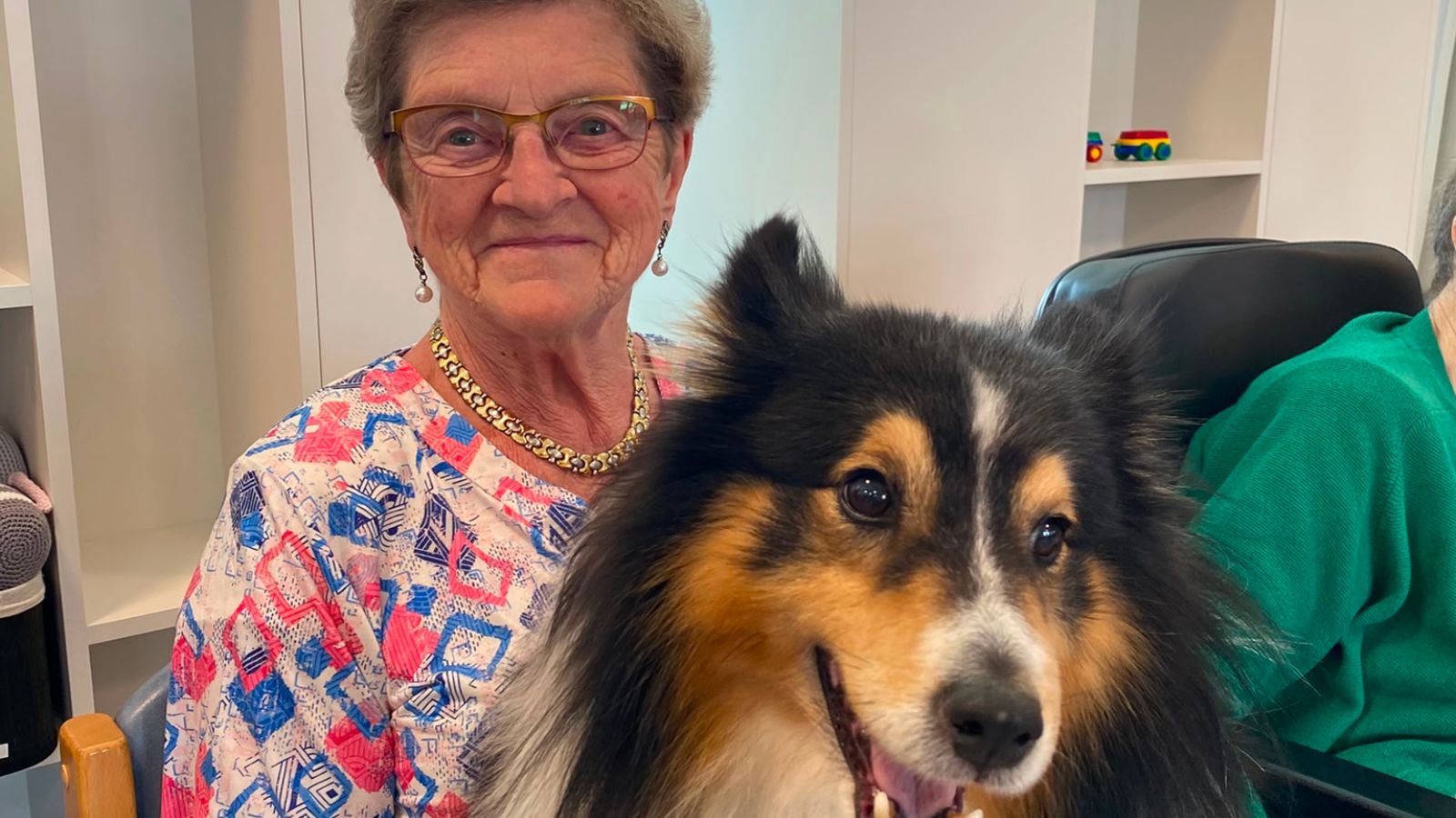 wzc13